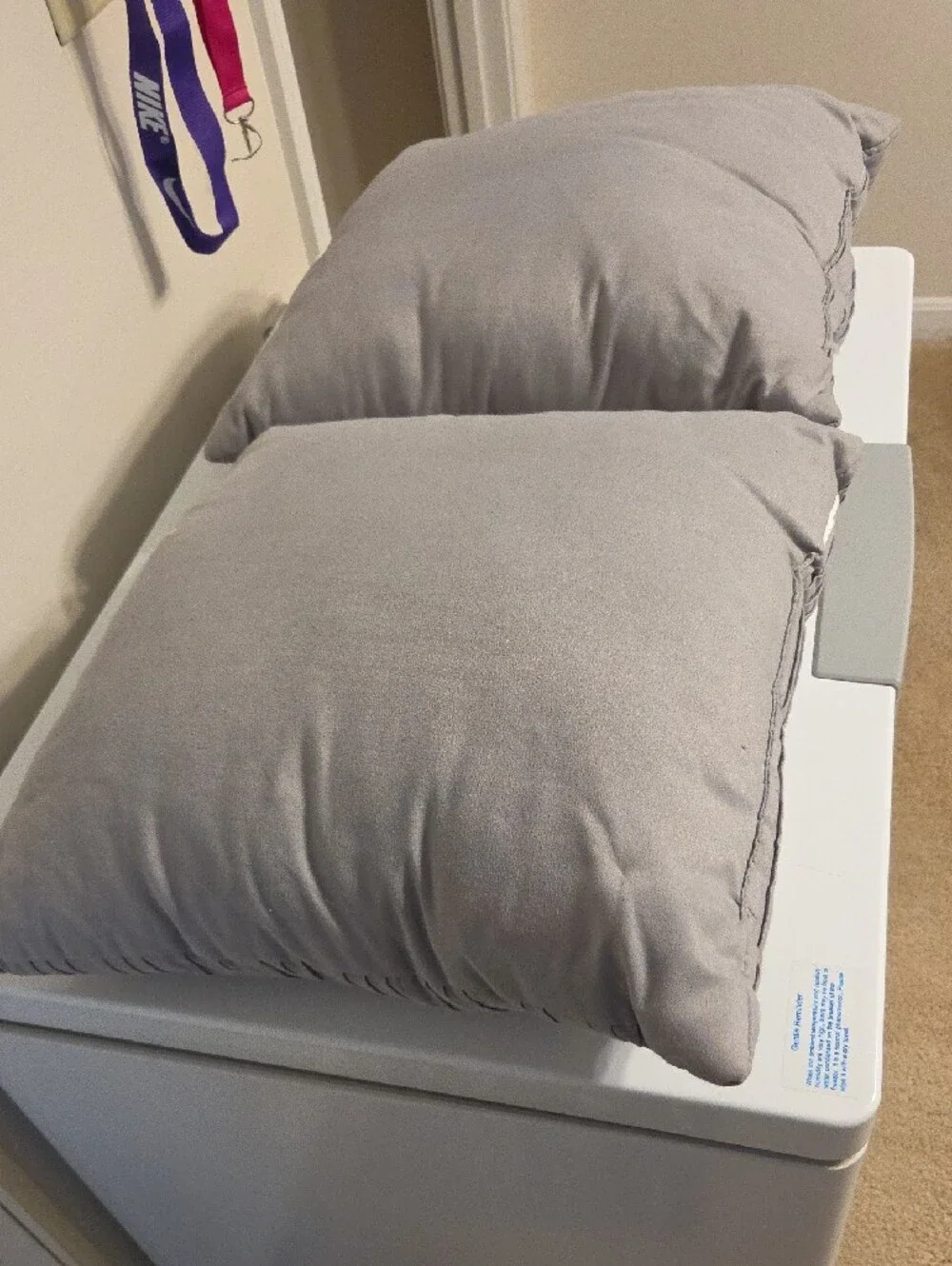 Target pair pillows